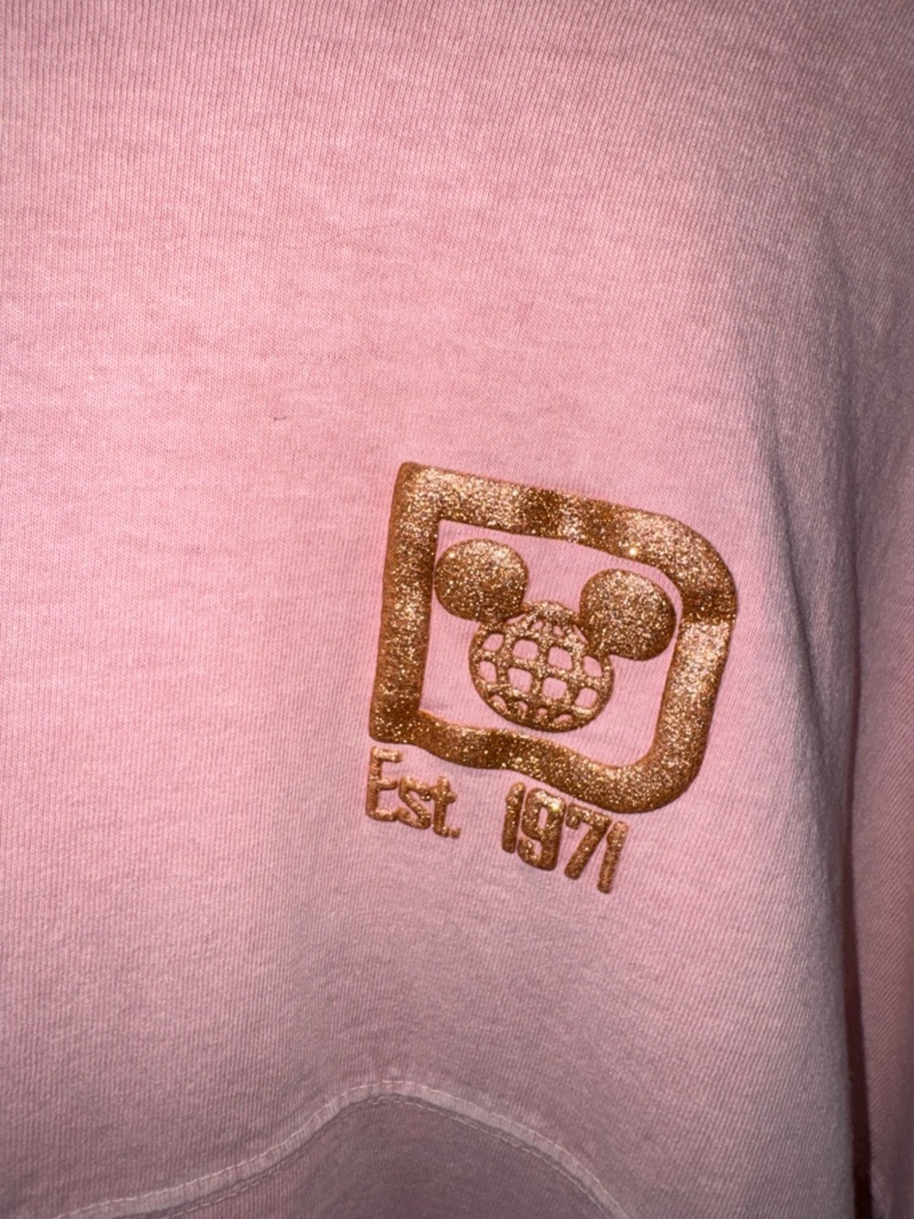 Disney Pink Long Sleeve Walt Disney World Pullover - Picture 6 of 15